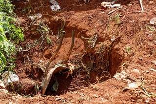 Fossa desativada onde o corpo foi enterrado. (Foto: Paulo Francis)