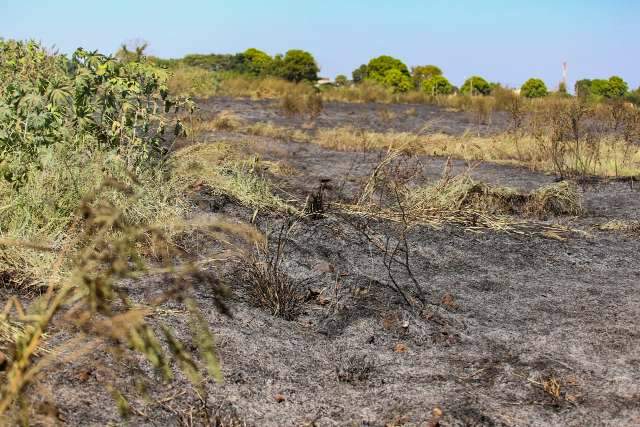 Inc&ecirc;ndio leva 5 horas para ser controlado e moradores passam mal com fuma&ccedil;a