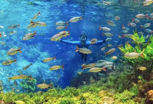 Para turismo, 2020 ser&aacute; de sobreviv&ecirc;ncia e aposta s&atilde;o atrativos regionais