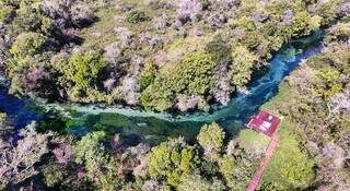 O Rio Sucuri, cenário de flutuação, é só um entre tantos atratitivos naturais em Bonito (Foto: VisitBonito/Divulgação)