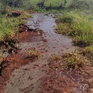 Vazamento forma &ldquo;lagoa&rdquo; de esgoto no &Aacute;gua Limpa e moradores sofrem com o cheiro