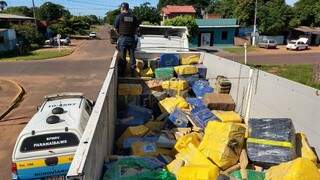 Apreensões de droga em rodovias estaduais de MS aumentam 130% em 2020 Apreensões de droga em rodovias estaduais de MS aumentam 130% em 2020
