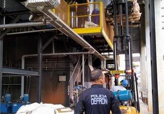 Defron incinera 5,8 mil kg de maconha e total chega a 25 toneladas no ano Defron incinera 5,8 mil kg de maconha e total chega a 25 toneladas no ano