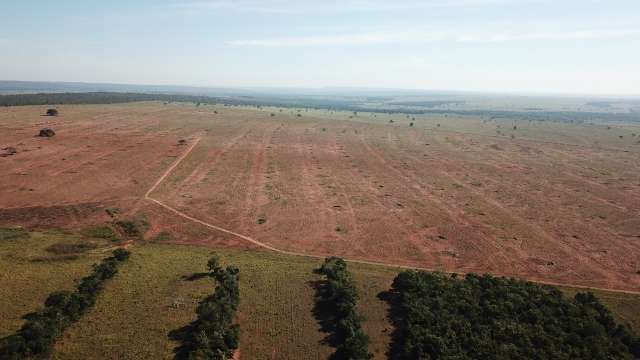 Fazendeira &eacute; multada em R$ 93 mil por desmatamento e inc&ecirc;ndios em matas