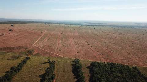 Fazendeira é multada em R$ 93 mil por desmatamento e incêndios em matas