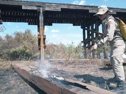 Chuva ameniza, mas não apaga fogo e brigada mantém combate no Pantanal