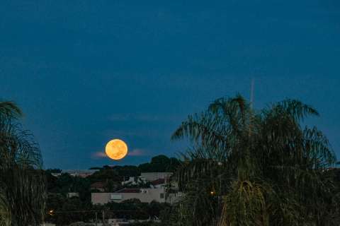 No dia mais frio do ano, Campo Grande amanhece com sensação de 5ºC  