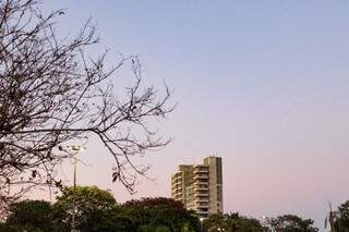 Galhos secos compõem cenário no amanhecer desta sexta-feira na Praça do Rádio na Avenida Afonso Pena (Foto: Henrique Kawaminami)