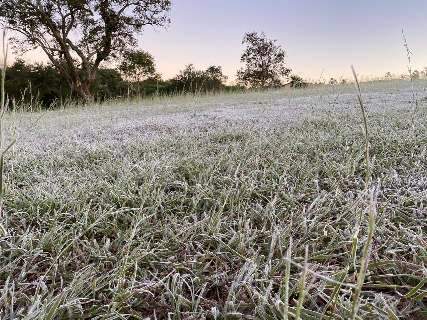 Frio provoca geada em 7 cidades e madrugada com sensa&ccedil;&atilde;o de -4&ordm;C graus