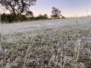 A mínima em Ponta Porã foi de 5ºC, com formação de geada nas partes mais baixas do município (Foto: Direto das Ruas)