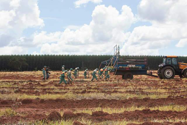 Coronav&iacute;rus contamina funcion&aacute;rios de 2 empresas e deixa 35 em quarentena