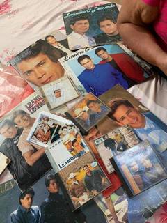 Os CDs, DVDs e discos de vinil que a fã ainda tem dos ídolos. (Foto: Arquivo pessoal)