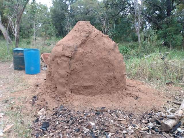 Carvoaria ilegal &eacute; fechada e pol&iacute;cia apreende mais de meia tonelada de carv&atilde;o