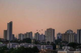 Sol nascendo com as aves fazendo desenho no céu de Campo Grande neste domingo (Foto: Marcos Maluf)