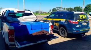 Traficante abandona camionete roubada com 448 quilos de maconha na BR-267