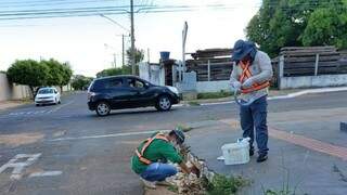 Agentes instalam armadilhas em bueiro (Foto: PMCG/Divulgação)