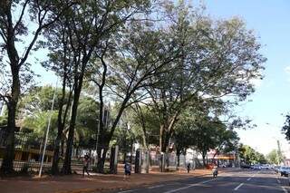Céu claro nesta quarta-feira no Centro de Campo Grande (Foto: Kísie Ainoã)