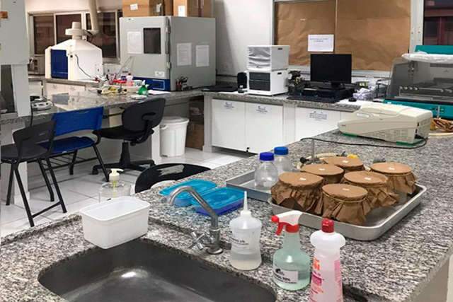 Laborat&oacute;rio da UFGD come&ccedil;a nesta semana a diagnosticar casos de covid-19
