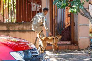 Bombeiros entram com cão farejador em imóvel, pela manhã, para buscas por Graziela Pinto Rubiano. (Foto: Henrique Kawaminami)