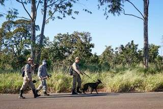 Bombeiros com cães farejadores fazem buscas na área, próximo ao presídio no Jardim Noroeste (Foto: Henrique Kawaminami)