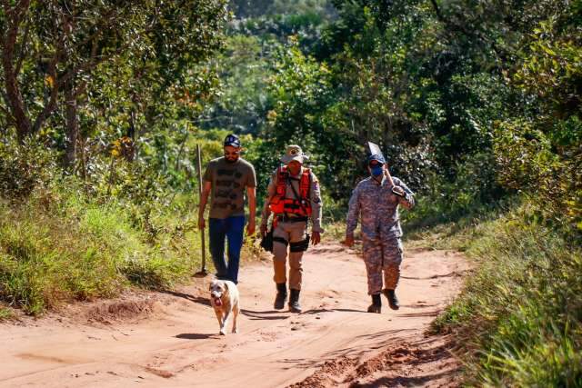 Em 90 mil metros quadrados, c&atilde;es n&atilde;o acham pistas do paradeiro de Graziela