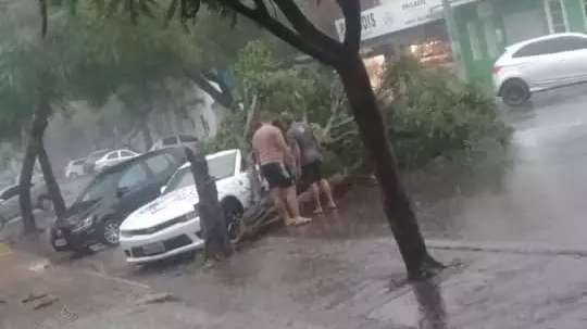 Ventos de 81 km/h derrubam &aacute;rvores e temperatura cai 13&ordm;C em 45 minutos