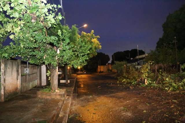 Temporal derruba pelo menos 9 &aacute;rvores e deixa bairros sem energia