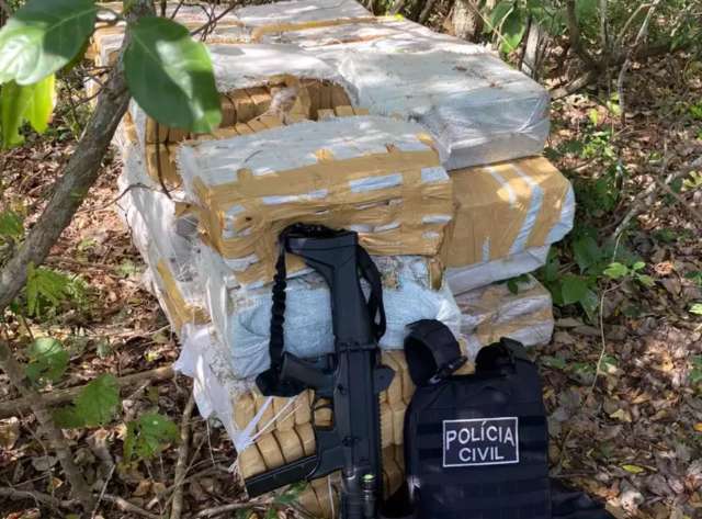Em menos de 24h, pol&iacute;cia apreende mais de duas toneladas de maconha em mata