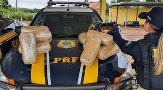 Em abordagens, PRF encontra supermaconha em fundos falsos e at&eacute; em t&aacute;xi