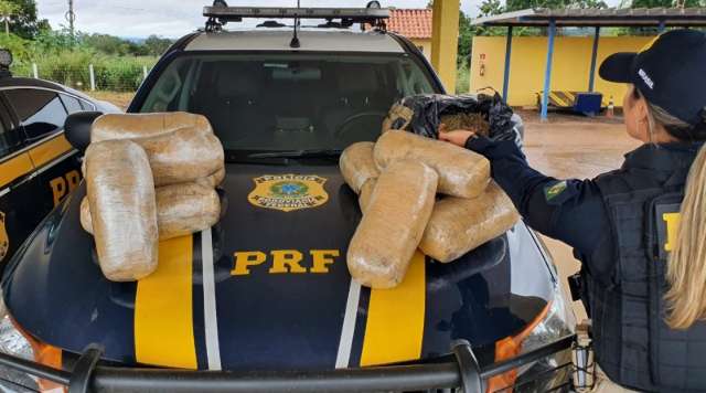 Em abordagens, PRF encontra supermaconha em fundos falsos e at&eacute; em t&aacute;xi