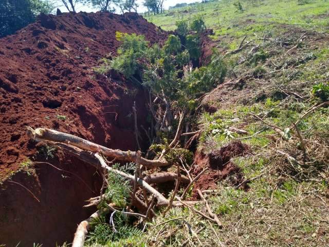 Homem &eacute; multado por desmatamento de 11 hectares em &aacute;rea de Mata Atl&acirc;ntica