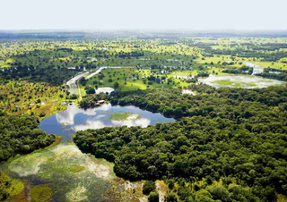 Com tratamento igual da nova Embratur entre todos os estados, o Pantanal terá mais chance de aparecer em campanhas promocionais no exterior (Foto: Reprodução)