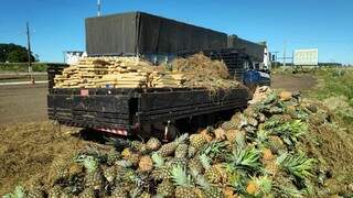 Pol&iacute;cia prende cinco com 648 quilos de maconha em carga de abacaxi