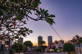 Dia amanhecendo com céu aberto na região do Jardim dos Estados, em Campo Grande (Foto: Henrique Kawaminami) 