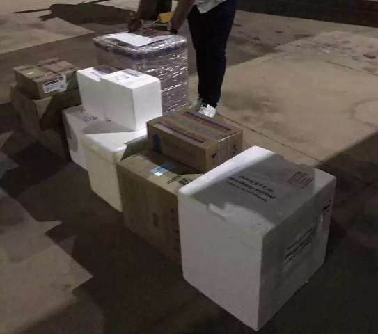 MS empresta 4,8 mil medicamentos ao Amapá, recordista em incidência de covid-19