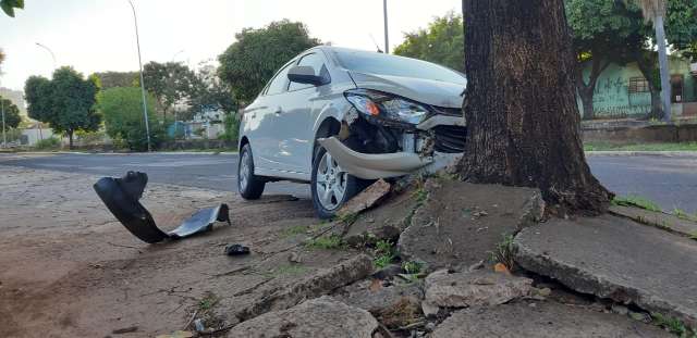Motorista bate em &aacute;rvore e abandona o carro na Avenida Ernesto Geisel