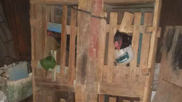 Homem &eacute; preso e 30 galos de rinha s&atilde;o encontrados mutilados no interior