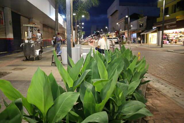 Equipes come&ccedil;am recorte de cal&ccedil;adas para paisagismo em novo trecho da 14