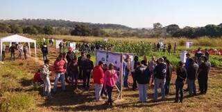 Dia de campo para os alunos de Agronomia da unidade de Cassilândia. (Foto: Uems) 
