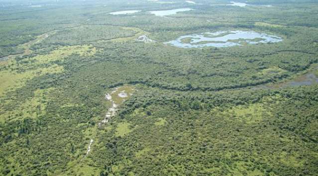 Semana do Meio Ambiente come&ccedil;a amanh&atilde; com programa&ccedil;&atilde;o digital no Estado