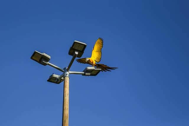 Último dia de maio deve ser de sol e umidade do ar baixa em todo Estado