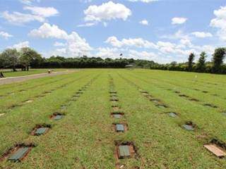 Cemitério Parque Monte das Oliveiras, em Campo Grande (Foto: Divulgação) 