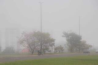 Na Avenida João Arinos, paisagem é ofuscada pela nebulosidade (Foto: Henrique Kawaminami)