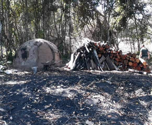 Pol&iacute;cia usa drone, descobre carvoaria ilegal e multa propriet&aacute;rio em R$ 21,1 mil