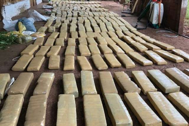 Ag&ecirc;ncia antidrogas apreende 1.280 kg de maconha em s&iacute;tio na fronteira