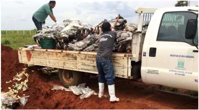 Dona de pescaria &eacute; condenada &agrave; pris&atilde;o por guardar pescado sem selo de origem