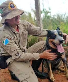 Seven, cão-farejador da raça boiadeiro-australiano, que ajudou nas buscas (Foto: Direto das Ruas)