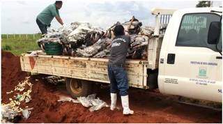 Dona de pescaria é condenada à prisão por guardar pescado sem selo de origem Dona de pescaria é condenada à prisão por guardar pescado sem selo de origem