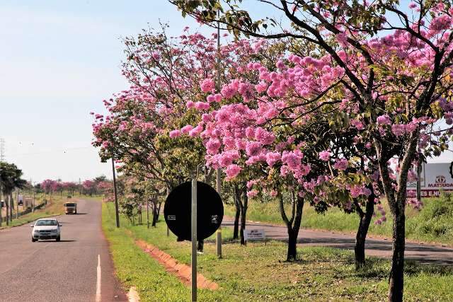 Prefeitura recapear&aacute; Duque de Caxias e asfaltar&aacute; ruas do Jardim Centen&aacute;rio