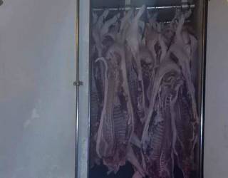 Caminh&atilde;o abordado na estrada tinha duas toneladas de carne clandestina